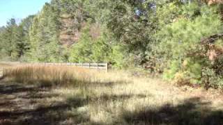 preview picture of video 'Horse Property Madison MS - Movie 1'