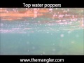 Watch The Action On The Top Water Poppers