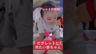 ずりばい最強赤ちゃんにアピールするピグレット