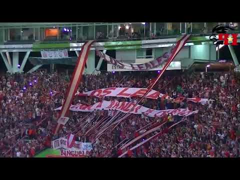 "Hinchada - Estudiantes de La Plata 2-1 Arsenal | Fecha 1 - Superliga | INFOPINCHA" Barra: Los Leales • Club: Estudiantes de La Plata • País: Argentina