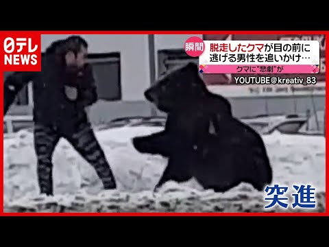 ペトロカナダ - 定義