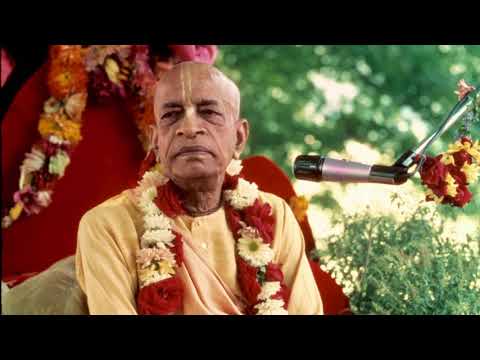 Bhagvad Gita 5.8 & 5.9