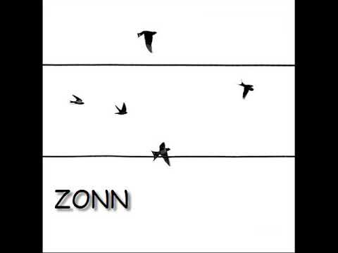 ZONN -   О чём слова