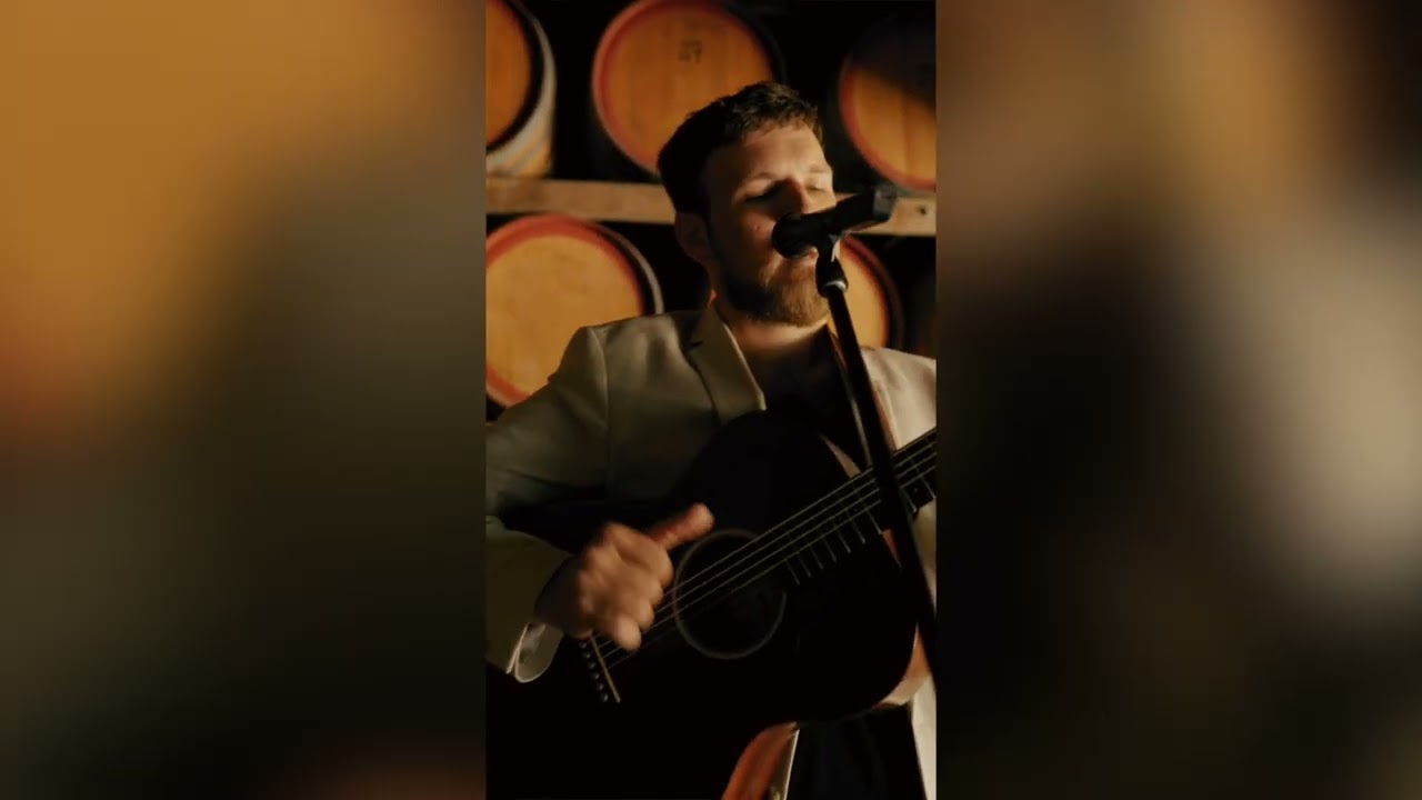Blackbird - Dan from Wedding Music Perth
