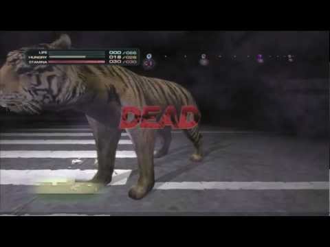 Tokyo Jungle - Pomeranian Vs Tiger Gameplay (PlayStation 3)