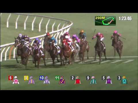 28/4/2021 (630) Helene Wisdom Star - J Moreira