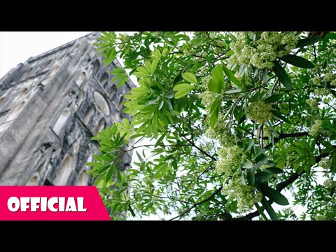 Hoa Sữa - Thanh Lam [Lyrics MV]