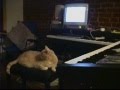 Record Deal: The Casey Stratton Documentary