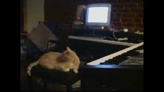 Record Deal: The Casey Stratton Documentary