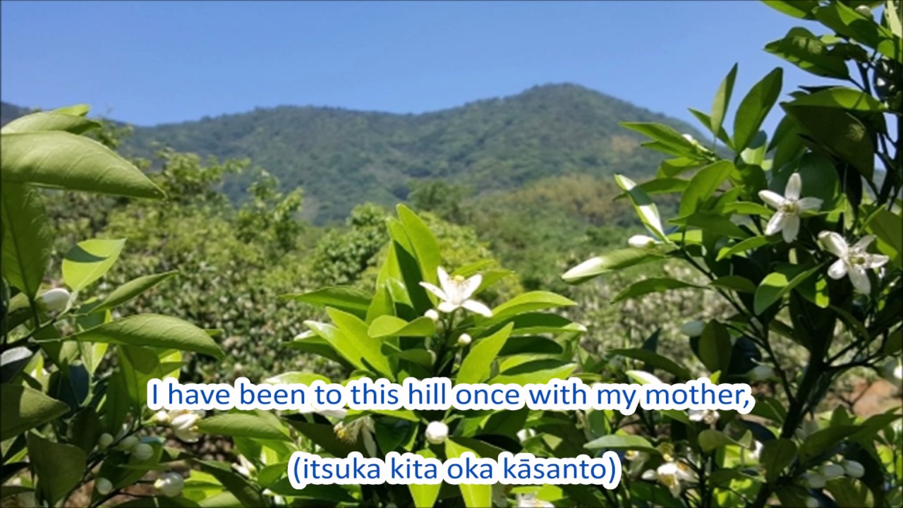 Japanese Folk Song #66: The Hill Where Orange Flowers Bloom (みかんの花咲く丘/Mikanno hanasaku oka)