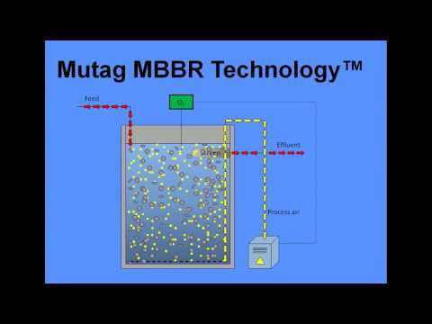 Overview about the Moving Bed Biofilm Reactor