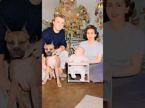 Color to Old Photos - Colorize Video