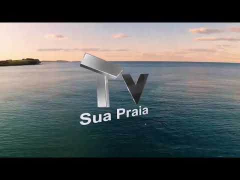 BNI em Foco com Daniella Fernandes // Priscila Couto - Vice-presidente