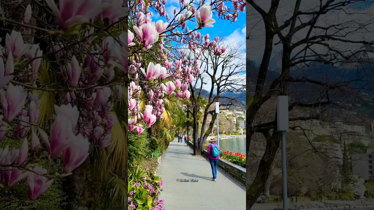 YouTube Short thumbnail