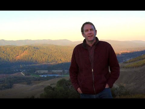 Spotlight on Cerise Vineyard