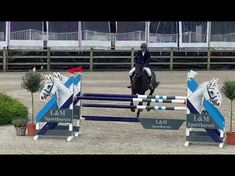 Sold to Zwitserland 🇨🇭 7 yo Conthargos x diarado mare Gp prospect 💥💥💥