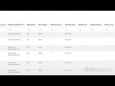 App Demonstration Video