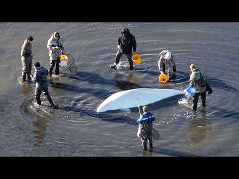 Народный патруль 26.05.2026