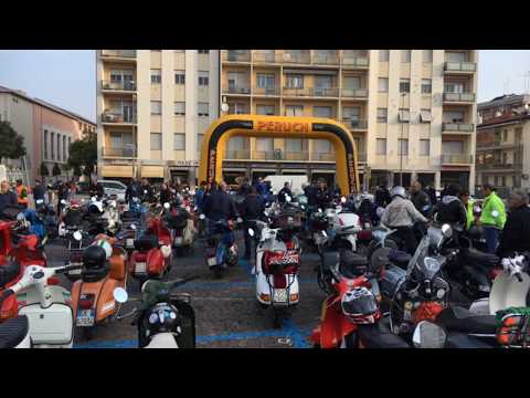 Vespe del graticolato pordenone 2018