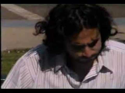 sinergia, mi señora