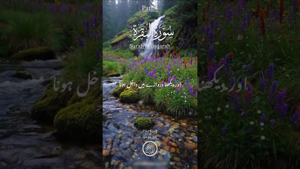 Surah Baqarah (سورہ بقرہ) Beautiful Recitation (Tilawat) Egzon Ibrahimi