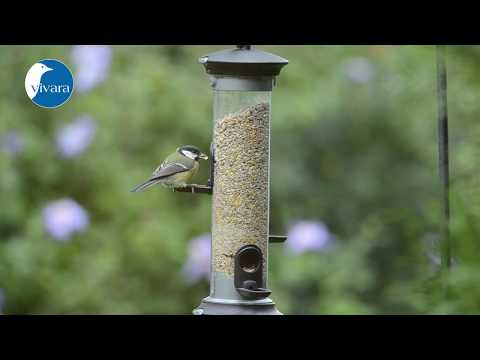 Vivara Apollo Voedersilopakket