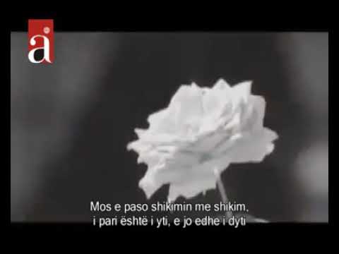 Si të shërohem nga shikimi në haram (si dhe dëmi dhe llogari dhënia e kesaj vepre)