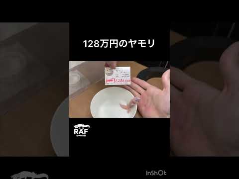 スファエロダクティルス・マクロレピス