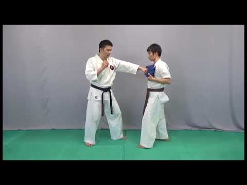 落下とは？【カラテ相対軸の発見】 Sotaijiku “strong&No-motion Blow”