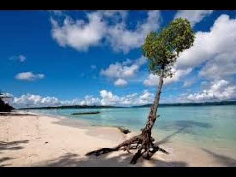 Beauty Of Andaman Island   Mizo Naupang