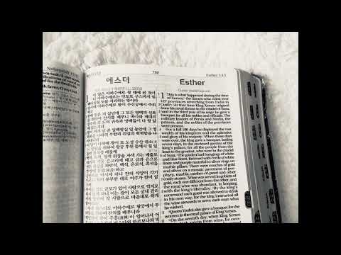 17.Esther 1-10  The World English Bible  영어성경,英語聖書,英文聖經,English bible
