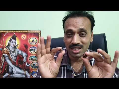 Difference Between Nepal Vs Java Rudraksha | What is the Difference Indonesian And Nepal Rudraksha