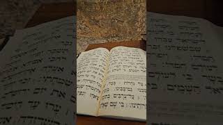 על נהרות בבל שם ישבנו גם בכינו... (הרב רפאל זר) - התמונה מוצגת ישירות מתוך אתר האינטרנט יוטיוב. זכויות היוצרים בתמונה שייכות ליוצרה. קישור קרדיט למקור התוכן נמצא בתוך דף הסרטון