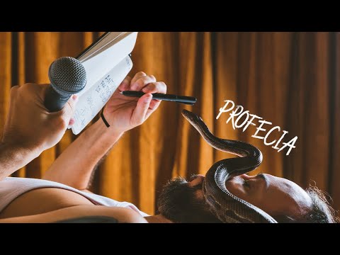 Gabriel O Pensador - Profecia (Visualizer)