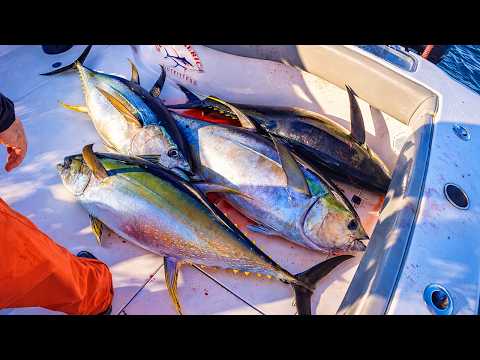 2 Hours, 3 Days, 16 GIANT TUNA {Catch, Clean, & Cook}