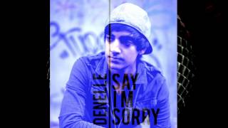 Say I'm Sorry by Denelle