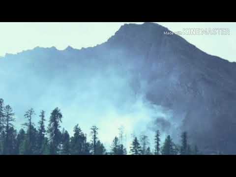 Beauty in the mundane - Bird of Figment feat. Cody Francis  (legendado)