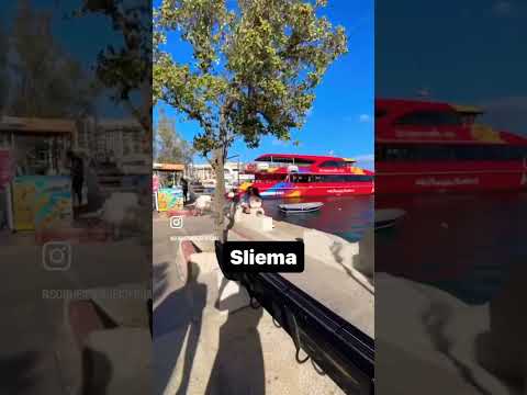 Siga a gente no insta pra + informações #malta #irlanda #brasil