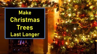 Make Christmas Trees Last Longer - Stop Needle Drop on Christmas Trees