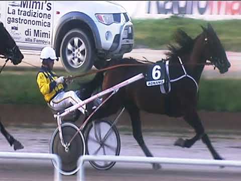 Trotto 07/10/2018 - 6ª corsa