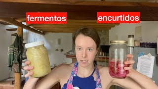 Encurtidos vs. Fermentos | la guía completa