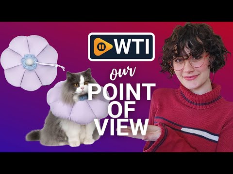 Cat Cone Collar - WTI product video review