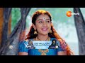 Trinayani | Ep - 1248 | Webisode | May 25 2024 | Zee Telugu - Video