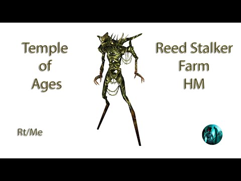 Reed Stalker Farm, Temple of Ages (ToA) - Guild Wars Ritualist Farm Rt/Me - HM