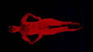 CORPO FLUORESCENTE