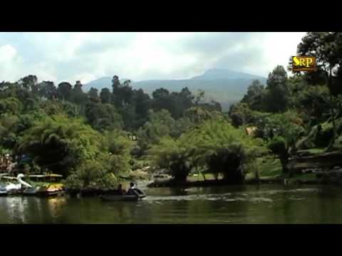 Cici Sahita - Janjimu