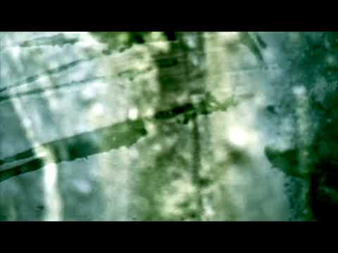 Repetition by Tobias Freund