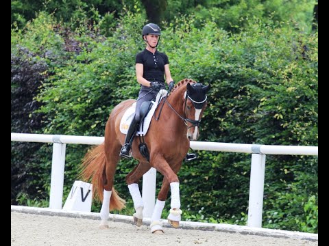 BOA VISTA & Greta Heemsoth - 1. WM-Sichtung 2021 - Freies Training
