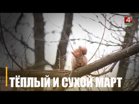 Пробил исторический максимум. Март 2026 года стал рекордно теплым и аномально сухим видео