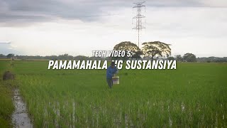 Paano ang tamang paggamit at pamamahala ng sustansya (Tech Video 05)